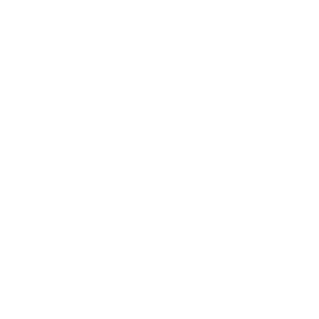 Accion Inmobiliaria